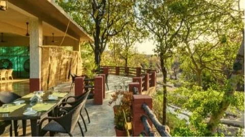 Culinary Bliss With a View: The Deck Restaurant in Pench